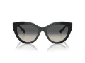 Tiffany Lunettes de Soleil TF 4220 800171