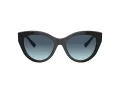 Tiffany Lunettes de Soleil TF 4220 80019S