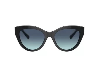 Tiffany Lunettes de Soleil TF 4220 80019S