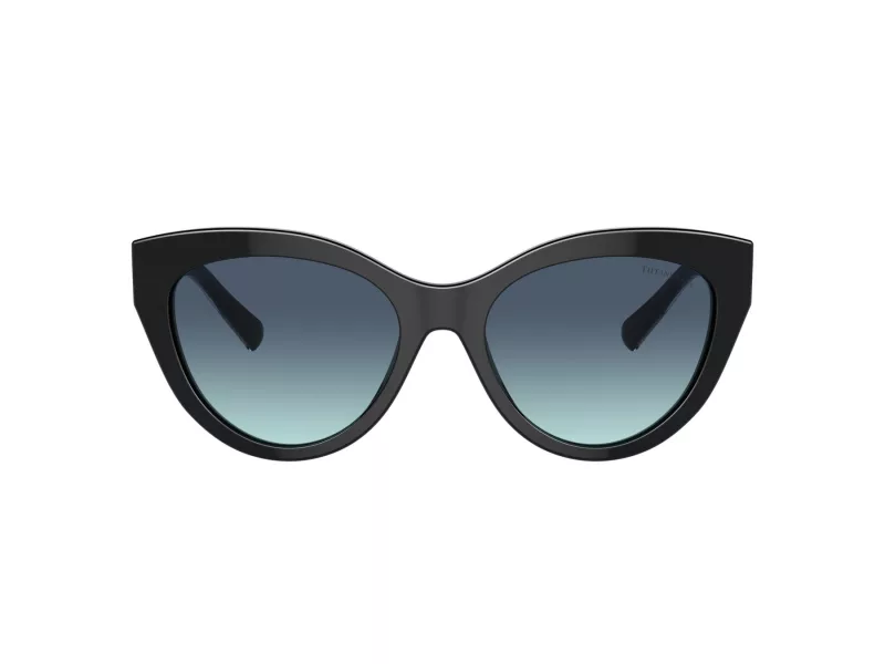 Tiffany Lunettes de Soleil TF 4220 80019S
