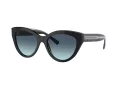 Tiffany Lunettes de Soleil TF 4220 80019S