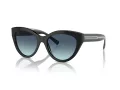 Tiffany Lunettes de Soleil TF 4220 80019S