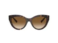 Tiffany Lunettes de Soleil TF 4220 801551