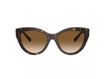 Tiffany Lunettes de Soleil TF 4220 801551