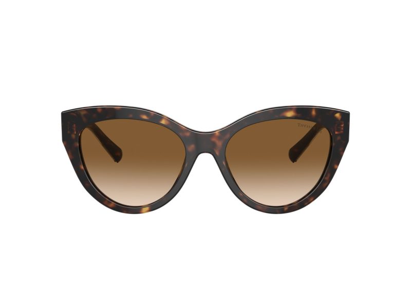 Tiffany Lunettes de Soleil TF 4220 801551