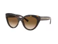 Tiffany Lunettes de Soleil TF 4220 801551