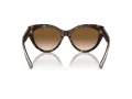 Tiffany Lunettes de Soleil TF 4220 801551