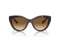 Tiffany Lunettes de Soleil TF 4220 801551