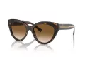 Tiffany Lunettes de Soleil TF 4220 801551