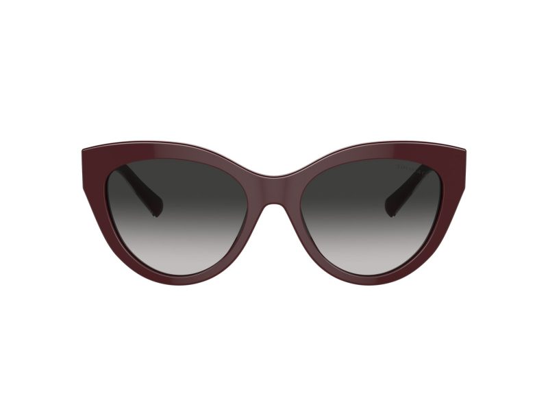 Tiffany Lunettes de Soleil TF 4220 83893C
