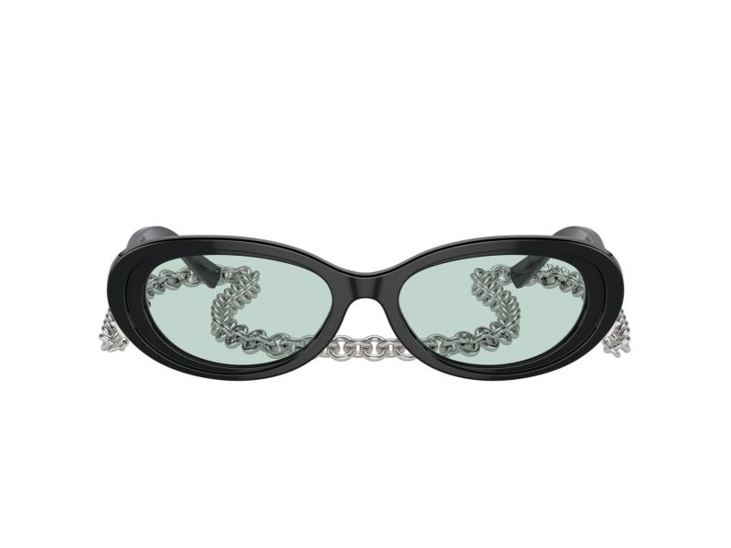 Tiffany Lunettes de Soleil TF 4221 8001D9