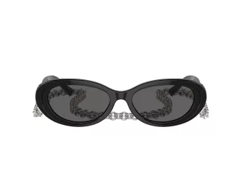 Tiffany Lunettes de Soleil TF 4221 8001S4