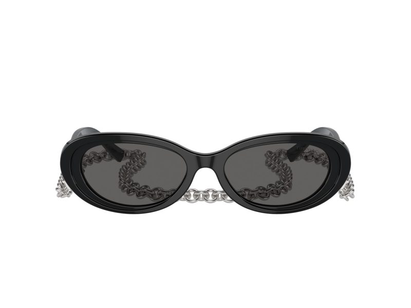 Tiffany Lunettes de Soleil TF 4221 8001S4