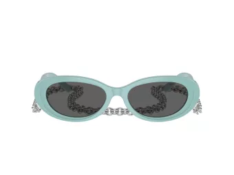 Tiffany Lunettes de Soleil TF 4221 8388S4