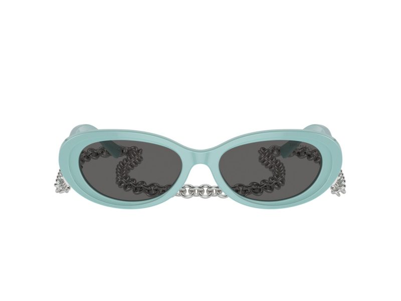 Tiffany Lunettes de Soleil TF 4221 8388S4