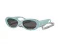 Tiffany Lunettes de Soleil TF 4221 8388S4