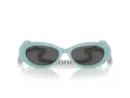 Tiffany Lunettes de Soleil TF 4221 8388S4