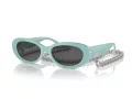 Tiffany Lunettes de Soleil TF 4221 8388S4