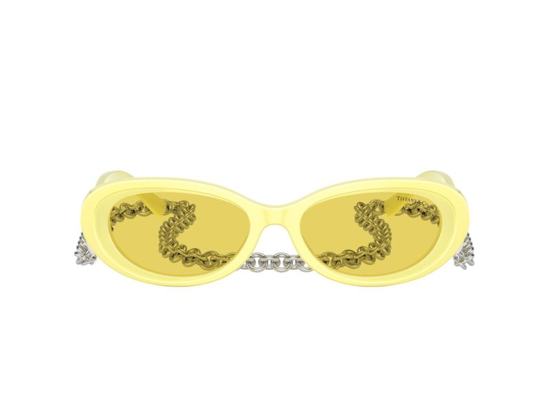 Tiffany Lunettes de Soleil TF 4221 841285