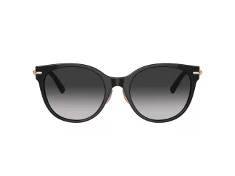 Tiffany Lunettes de Soleil TF 4223D 80013C