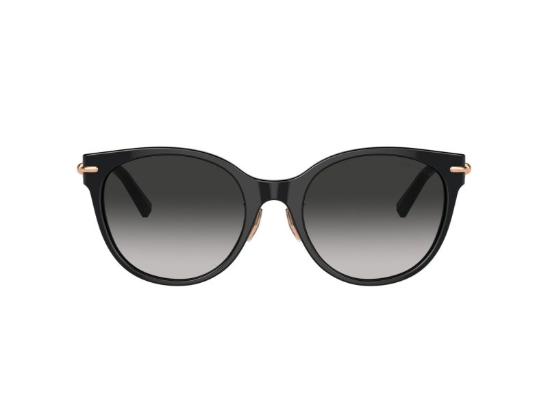 Tiffany Lunettes de Soleil TF 4223D 80013C