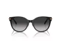 Tiffany Lunettes de Soleil TF 4223D 80013C