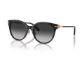 Tiffany Lunettes de Soleil TF 4223D 80013C