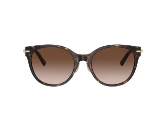 Tiffany Lunettes de Soleil TF 4223D 80153B