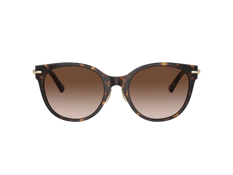 Tiffany Lunettes de Soleil TF 4223D 80153B