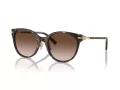 Tiffany Lunettes de Soleil TF 4223D 80153B