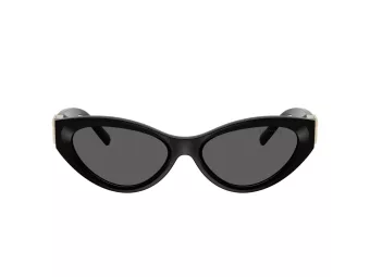 Tiffany Lunettes de Soleil TF 4225U 8001S4