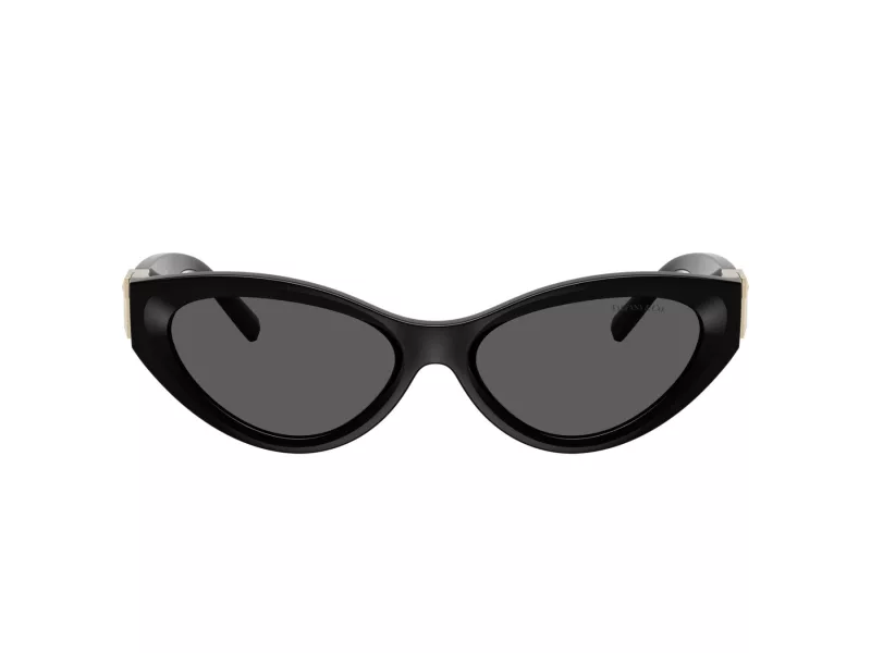 Tiffany Lunettes de Soleil TF 4225U 8001S4