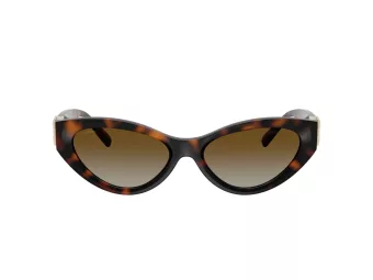 Tiffany Lunettes de Soleil TF 4225U 8015T5