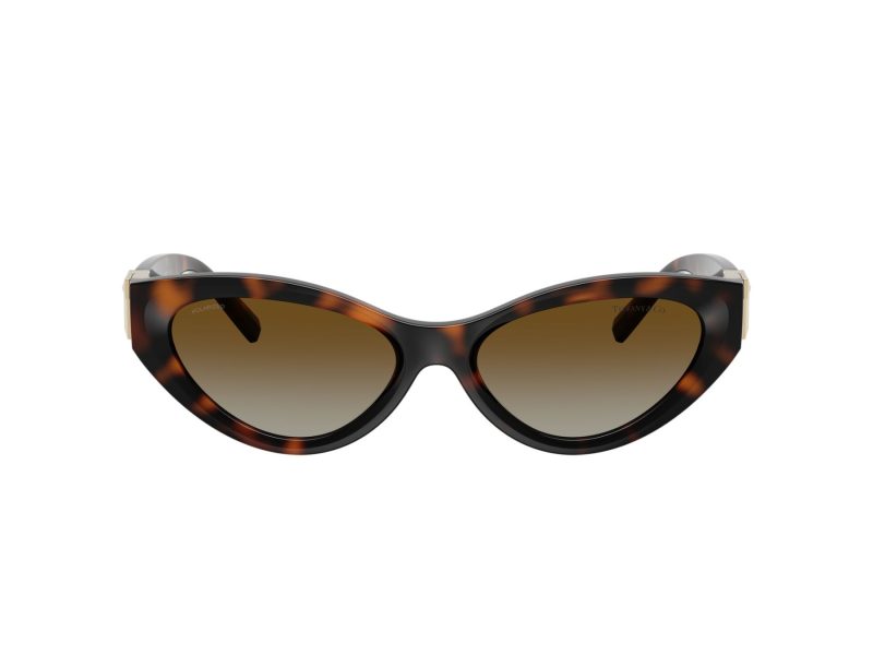 Tiffany Lunettes de Soleil TF 4225U 8015T5