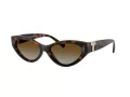 Tiffany Lunettes de Soleil TF 4225U 8015T5