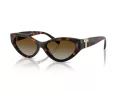 Tiffany Lunettes de Soleil TF 4225U 8015T5
