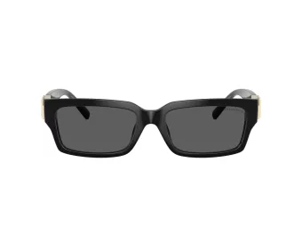 Tiffany Lunettes de Soleil TF 4226U 8001S4