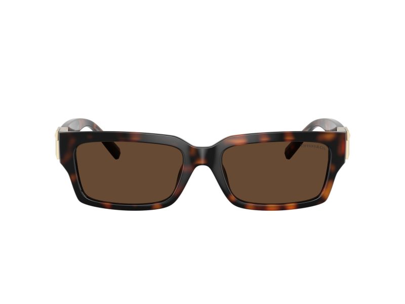Tiffany Lunettes de Soleil TF 4226U 80153G