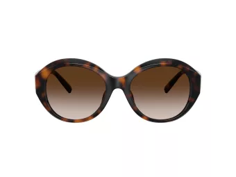 Tiffany Lunettes de Soleil TF 4227BU 80153B