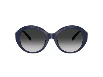 Tiffany Lunettes de Soleil TF 4227BU 83963C