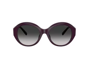Tiffany Lunettes de Soleil TF 4227BU 84273C