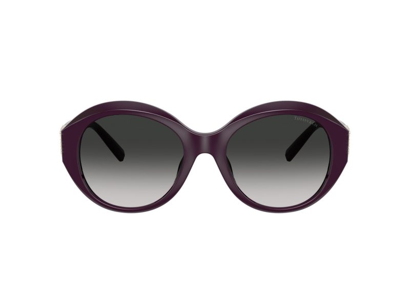 Tiffany Lunettes de Soleil TF 4227BU 84273C