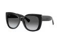 Tiffany Lunettes de Soleil TF 4229 8001T3