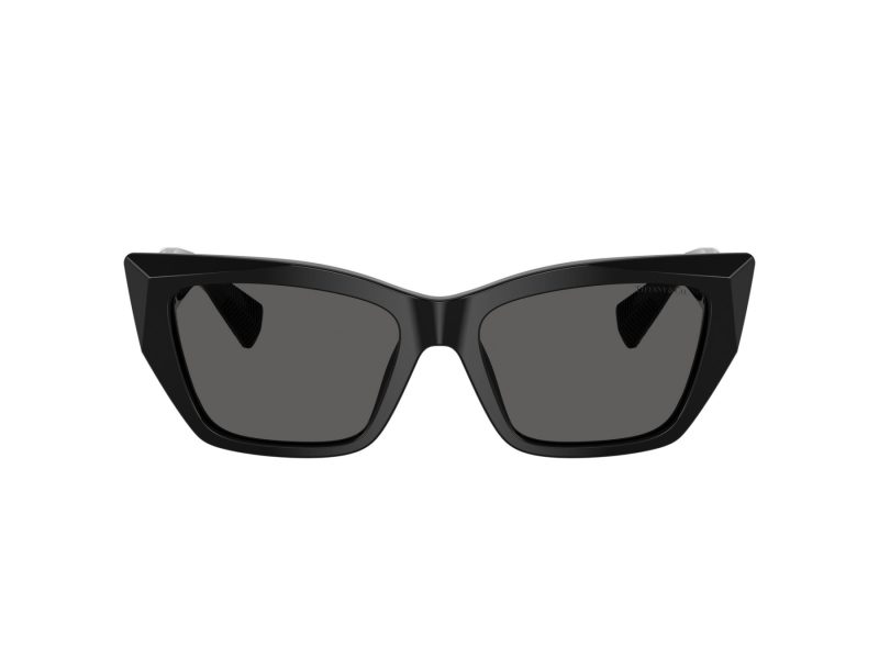 Tiffany Lunettes de Soleil TF 4230 8001S4