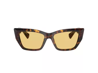 Tiffany Lunettes de Soleil TF 4230 8015/7