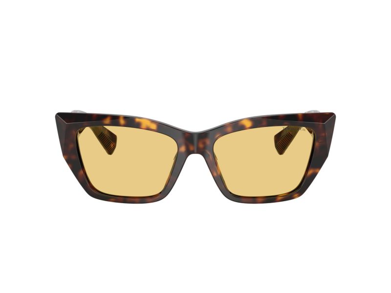 Tiffany Lunettes de Soleil TF 4230 8015/7