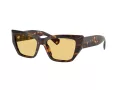 Tiffany Lunettes de Soleil TF 4230 8015/7