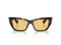 Tiffany Lunettes de Soleil TF 4230 8015/7