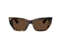 Tiffany Lunettes de Soleil TF 4230 84213G