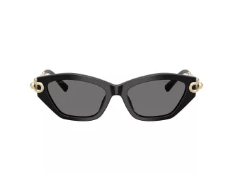 Tiffany Lunettes de Soleil TF 4231U 800181